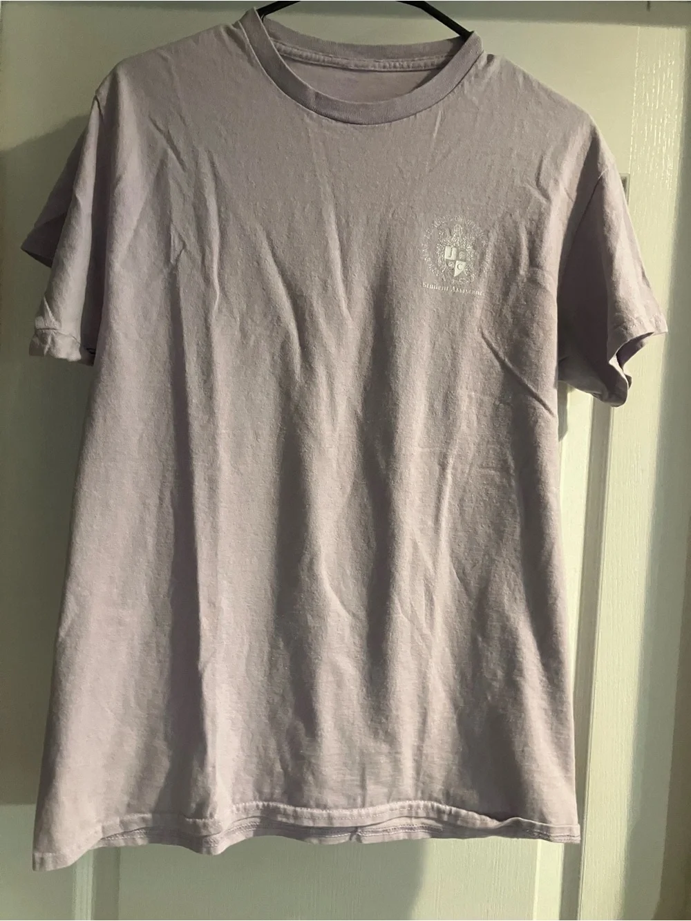 Classic Men's Lavender Crew Neck T-Shirt Size Large